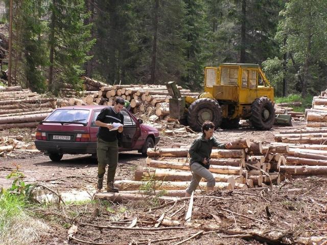 Lesnická likvidace větrné kalamity v národním parku