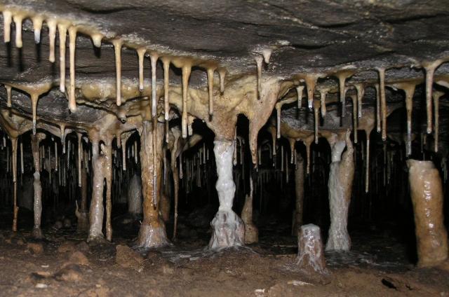 Krápníková výzdoba v Holštejnské jeskyni