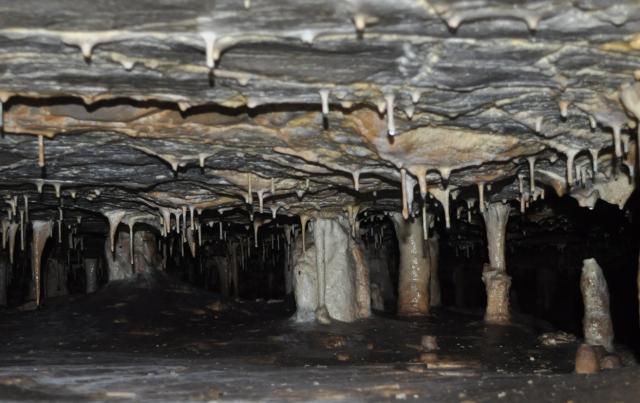 Krápníková výzdoba Holštejnské jeskyně